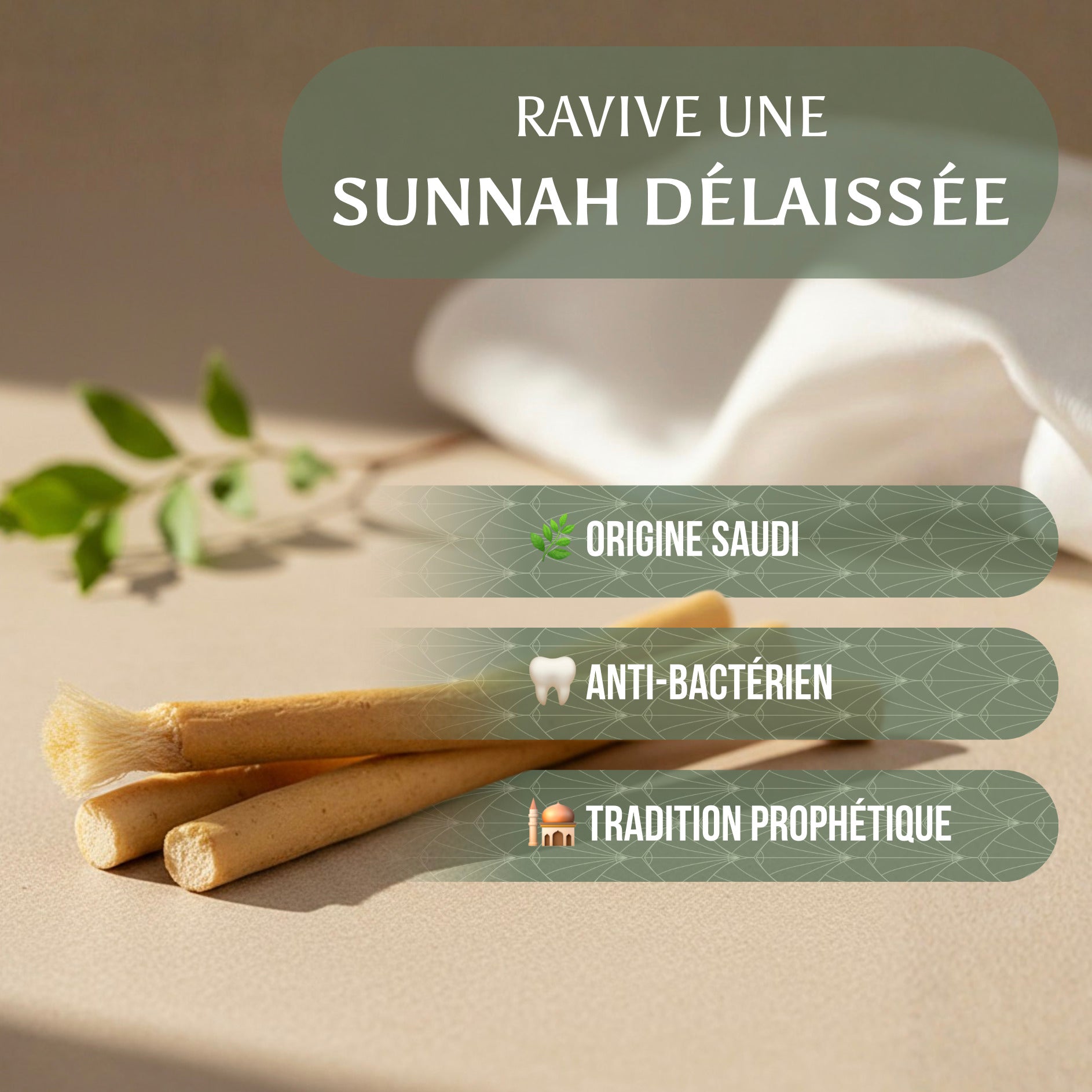 Bâtons de Siwak naturels d'origine saoudienne pour une hygiène dentaire antibactérienne, accessoire traditionnel de la Sunnah pour le soin des dents.